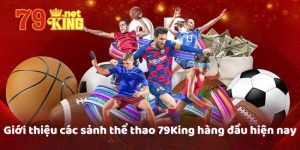 Giới thiệu các sảnh thể thao 79King hàng đầu hiện nay